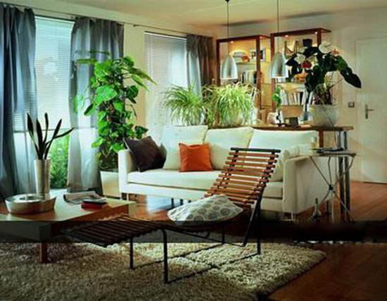 板材十大品牌 板材十大品牌