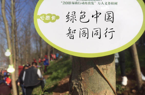 新西蘭智閣板材 新西蘭智閣板材